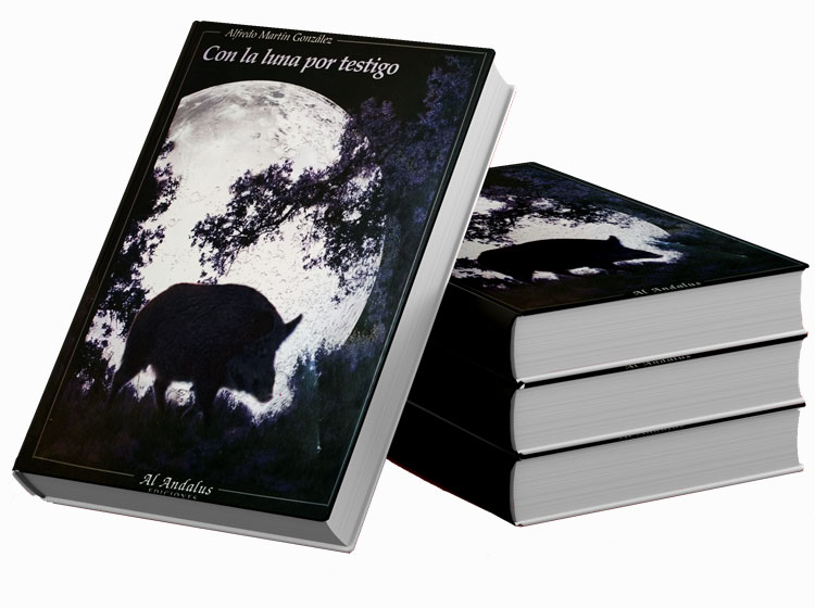 con-la-luna-por-testigo-fondo-grey